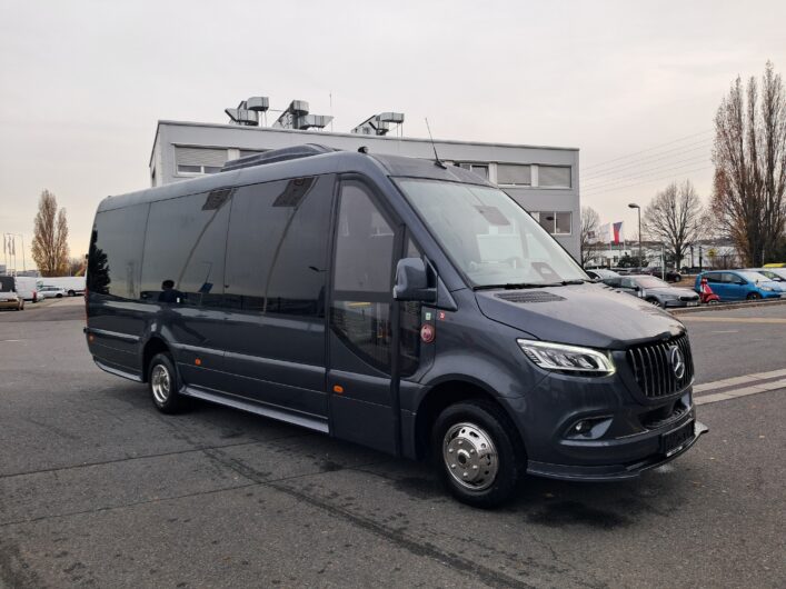 Mercedes-Benz Sprinter 519 Pardus